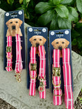 Load image into Gallery viewer, IZOD Pet - Collar & Leash Set
