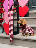 Load image into Gallery viewer, Rosé Bliss Sweater 
