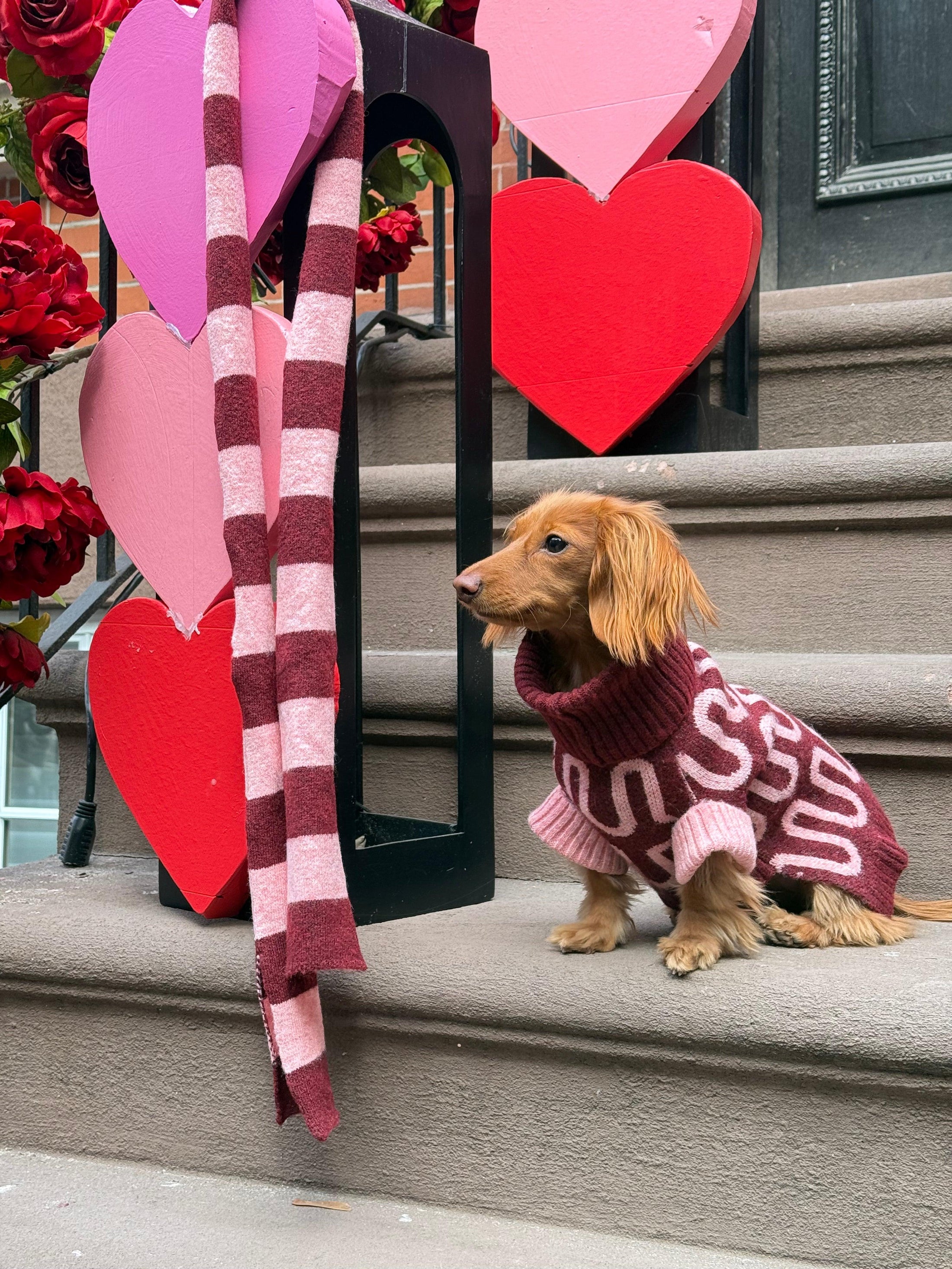 Rosé Bliss Sweater 