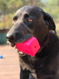 Load image into Gallery viewer, Surf's Up! Retro Van Dog Toy - Durable Chew Toy for Large Dogs | USA Made
