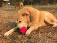 Load image into Gallery viewer, Surf's Up! Retro Van Dog Toy - Durable Chew Toy for Large Dogs | USA Made
