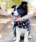 Load image into Gallery viewer, Alex Dog Bandana
