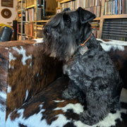 Necklace with heart tag