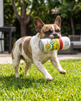 Load image into Gallery viewer, Topo Chiwawa Seltzer
