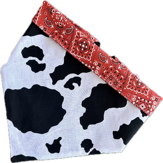 Cow Print Rodeo Bandana Dog Collar - Southlake Paws