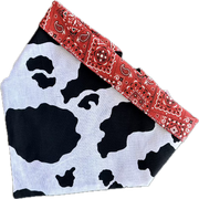 Cow Print Rodeo Bandana Dog Collar