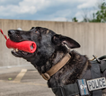 Load image into Gallery viewer, USA-K9 Firecracker Durable Rubber Floating Training Dummy - Large - Red
