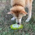 Load image into Gallery viewer, Water Frog eTray - Shallow Slow Feeder Dog Bowl for Enrichment | USA Made
