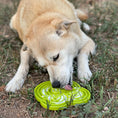 Load image into Gallery viewer, Water Frog eTray - Shallow Slow Feeder Dog Bowl for Enrichment | USA Made
