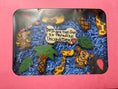 Load image into Gallery viewer, Safari Organic Dog Cookie Box
