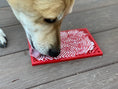 Load image into Gallery viewer, Love eMat - Enrichment Lick Mat for Dogs and Cats| Heart Design | SodaPup
