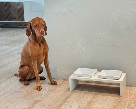 Bowsers Fresco Double Wood Dog Bowl Feeder - Elevated Designer Pet Dining