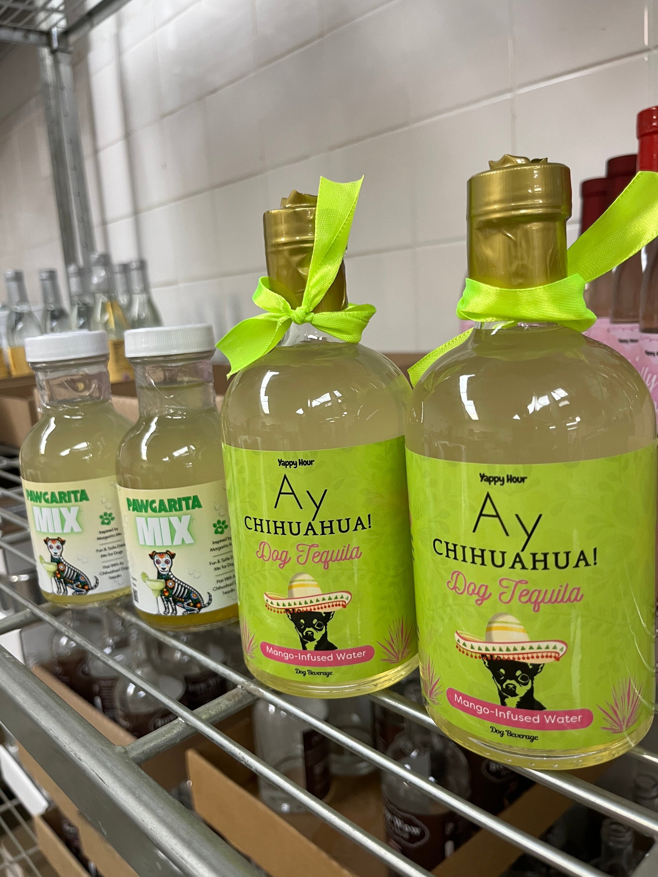 Ay Chihuahua Mango Dog Water lifestyle image for dog hydration