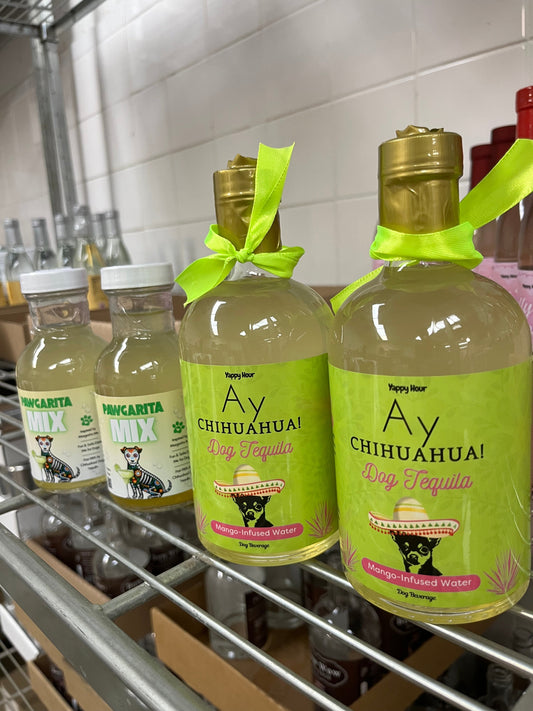 Ay Chihuahua Mango Dog Water lifestyle image for dog hydration