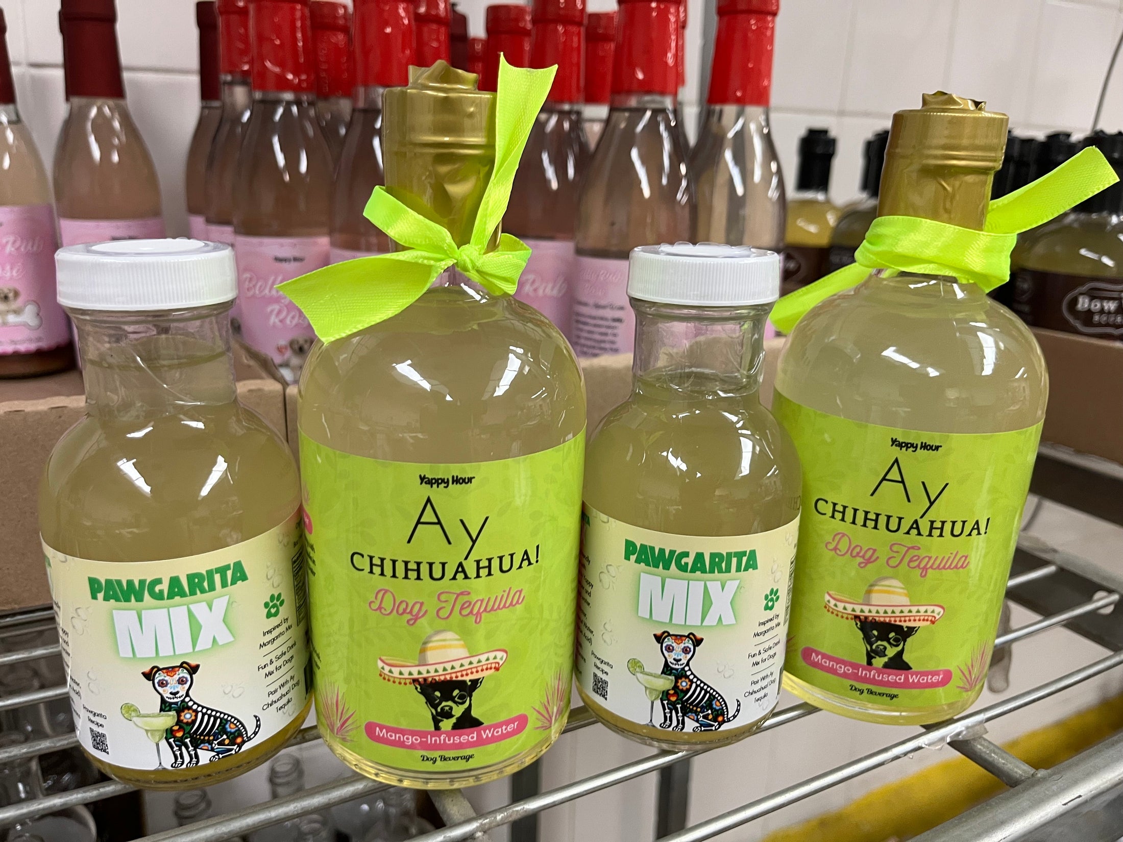 Pawgarita Hydration Kit for Dogs lifestyle image for dog hydration