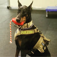 Load image into Gallery viewer, USA-K9 Magnum Grenade - Black Magnum Rubber Chew Toy for Extreme Chewers | USA Made
