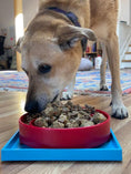 Load image into Gallery viewer, Hold 'em Suction Cup Holder for Dog Bowls & Lick Mats | USA Made
