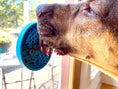 Load image into Gallery viewer, Turtle eMat-Mini Lick Mat with Suction Cups - Small Dogs & Cats | USA
