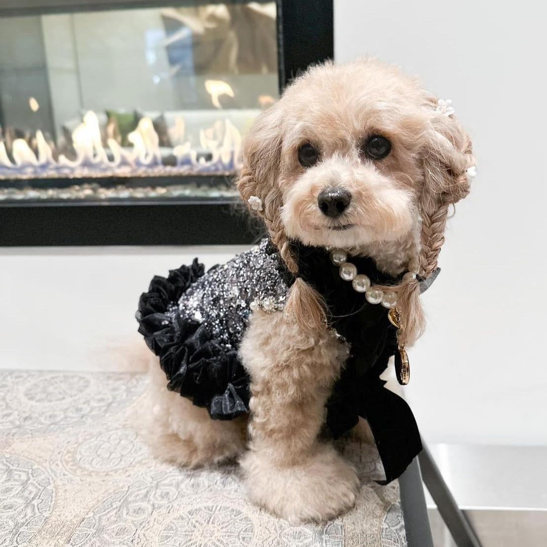 C’Mimi Designer Handmade “Studio 54” Dog Party Dress - Southlake Paws
