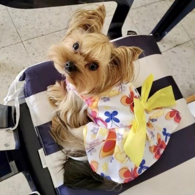 Butterfly Dog Party Dress - Southlake Paws