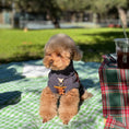 Load image into Gallery viewer, The Chai | Gray & Mustard Striped Turtleneck Dog Sweater
