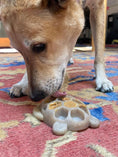 Load image into Gallery viewer, Turtle Nylon Chew Toy - Ultra-Durable Enrichment Toy for Power Chewers USA
