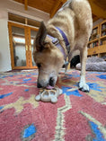 Load image into Gallery viewer, Turtle Nylon Chew Toy - Ultra-Durable Enrichment Toy for Power Chewers USA
