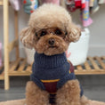 Load image into Gallery viewer, The Chai | Gray & Mustard Striped Turtleneck Dog Sweater
