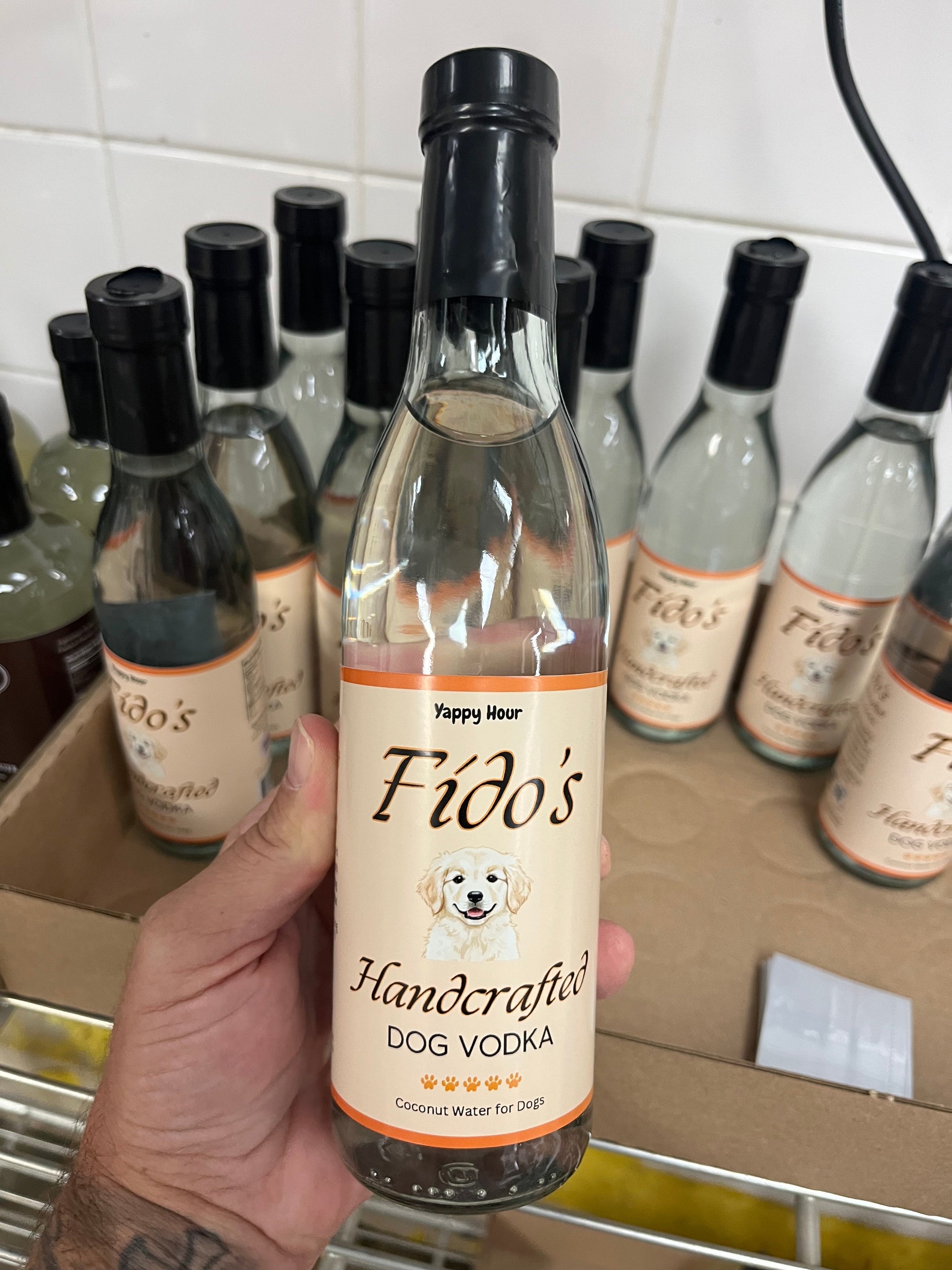 Fido's Handcrafted Coconut Dog Water lifestyle image for dog hydration