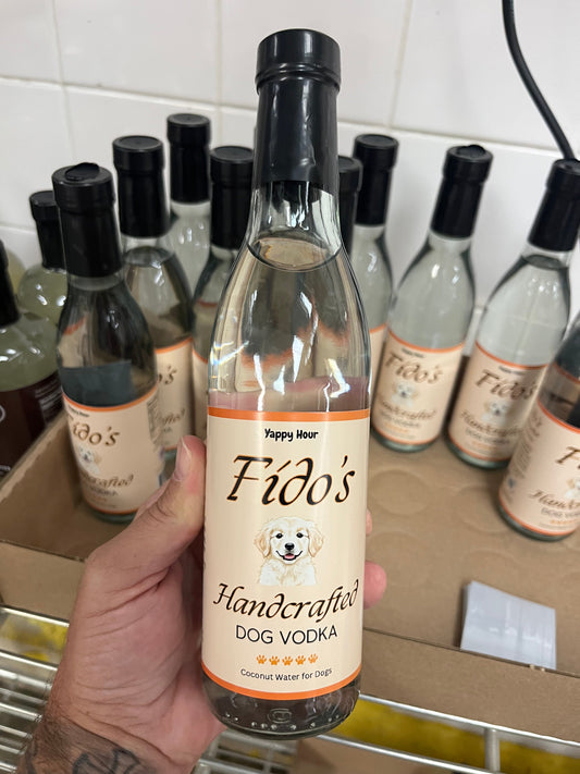 Fido's Handcrafted Coconut Dog Water lifestyle image for dog hydration