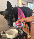 Load image into Gallery viewer, Barkday Birthday Dog Water lifestyle image for dog hydration
