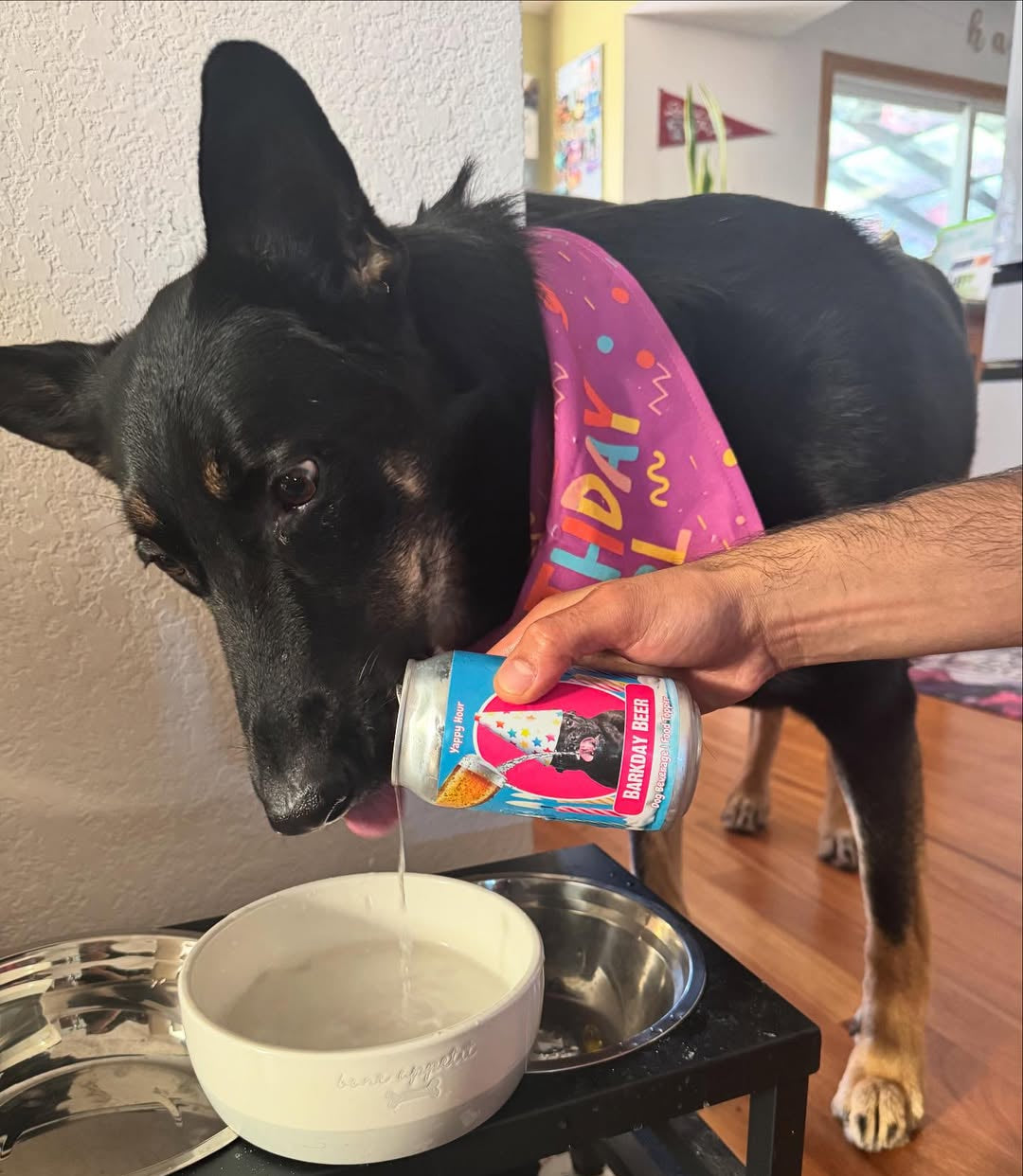 Barkday Birthday Dog Water lifestyle image for dog hydration