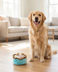 Load image into Gallery viewer, Birthday Boy Cake Toy

