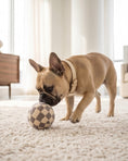 Load image into Gallery viewer, Tan Checker Chewy Vuiton Ball
