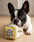 Load image into Gallery viewer, Pawtier Watch | Squeaky Plush Dog Toy with Crinkle & Mesh Lining
