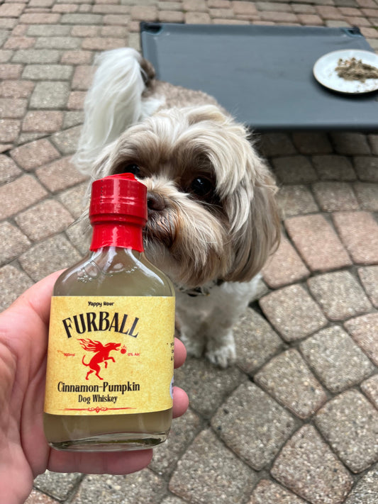 Furball Reserve Mini Dog Waters 4-Pack lifestyle image for dog hydration