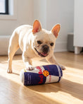 Load image into Gallery viewer, Red Bull Dog Energy Drink | Squeaky Plush Dog Toy with Crinkle & Mesh Lining
