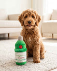 Load image into Gallery viewer, Tanqueruff Gin
