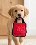 Load image into Gallery viewer, Chewlulemon Tote
