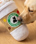 Load image into Gallery viewer, Starbarks Pupkin Spice Latte
