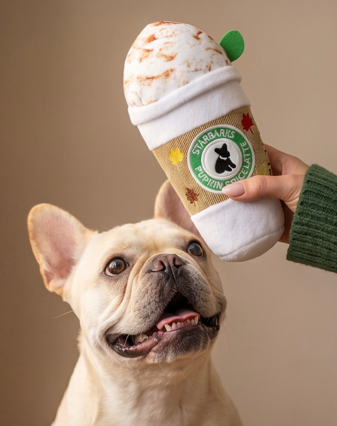 Starbarks Pupkin Spice Latte