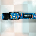 Load image into Gallery viewer, Chicago Handshake Collar & Leash Set
