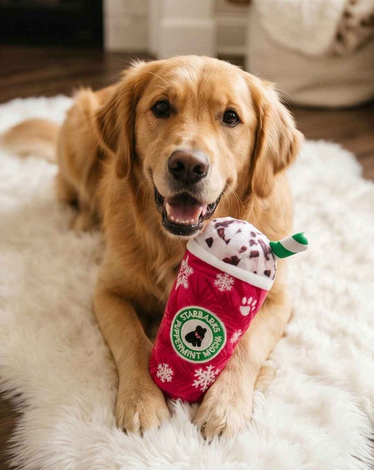 Starbarks Puppermint Mocha Christmas Holiday Plush Dog Toy