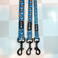 Load image into Gallery viewer, Chicago Handshake Collar & Leash Set
