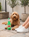 Load image into Gallery viewer, Stella Arftois Beer Bottle
