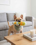 Load image into Gallery viewer, Topo Chiwawa Bottle
