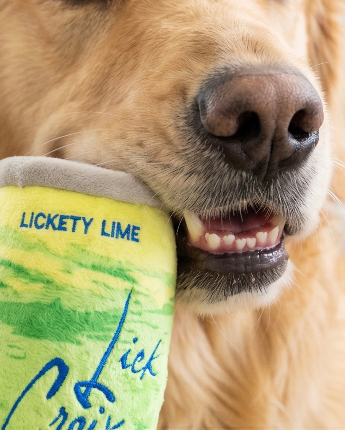 LickCroix Barkling Water  Lickety Lime