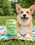 Load image into Gallery viewer, LickCroix Barkling Water  Lickety Lime
