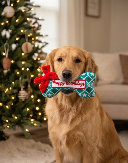 Green Stars Bone - Happy Howlidays Christmas Holiday Plush Dog Toy