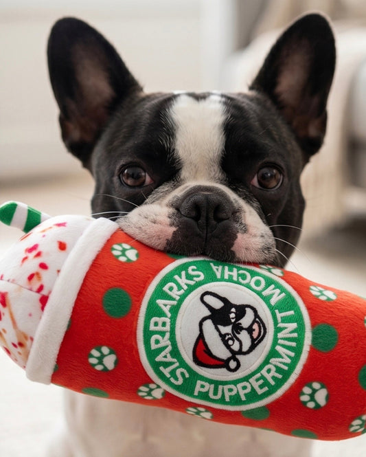 Starbarks Puppermint Mocha - Christmas Holiday Dots Cup